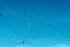 d0056263_232731.jpg