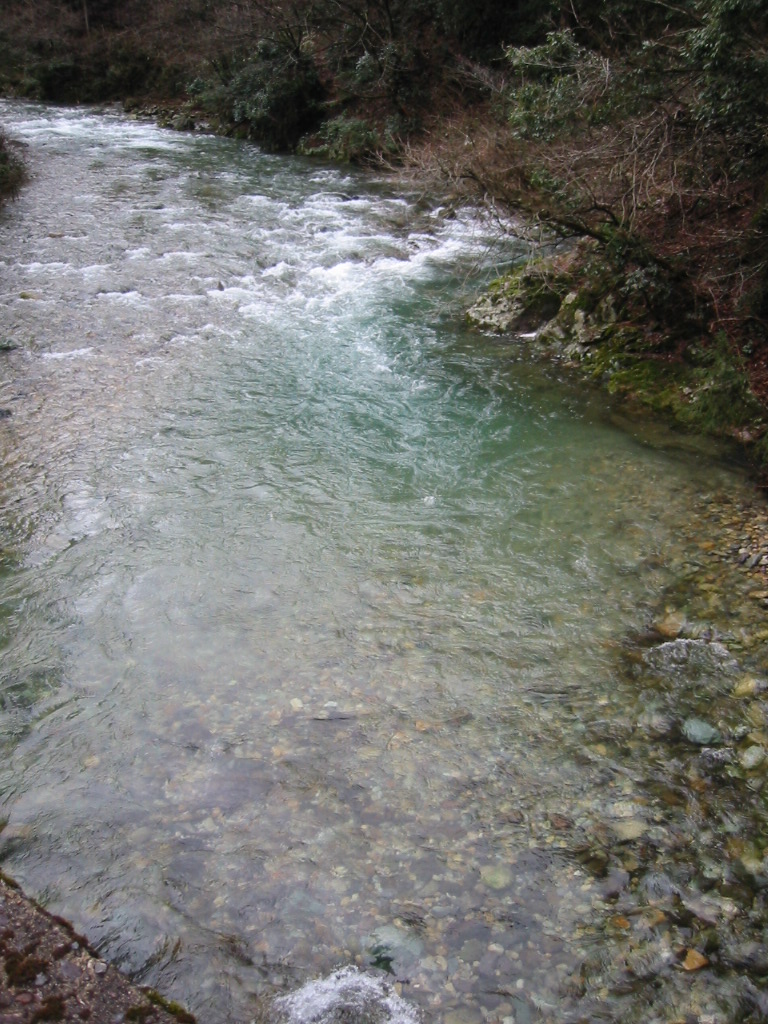 d0094868_13105097.jpg