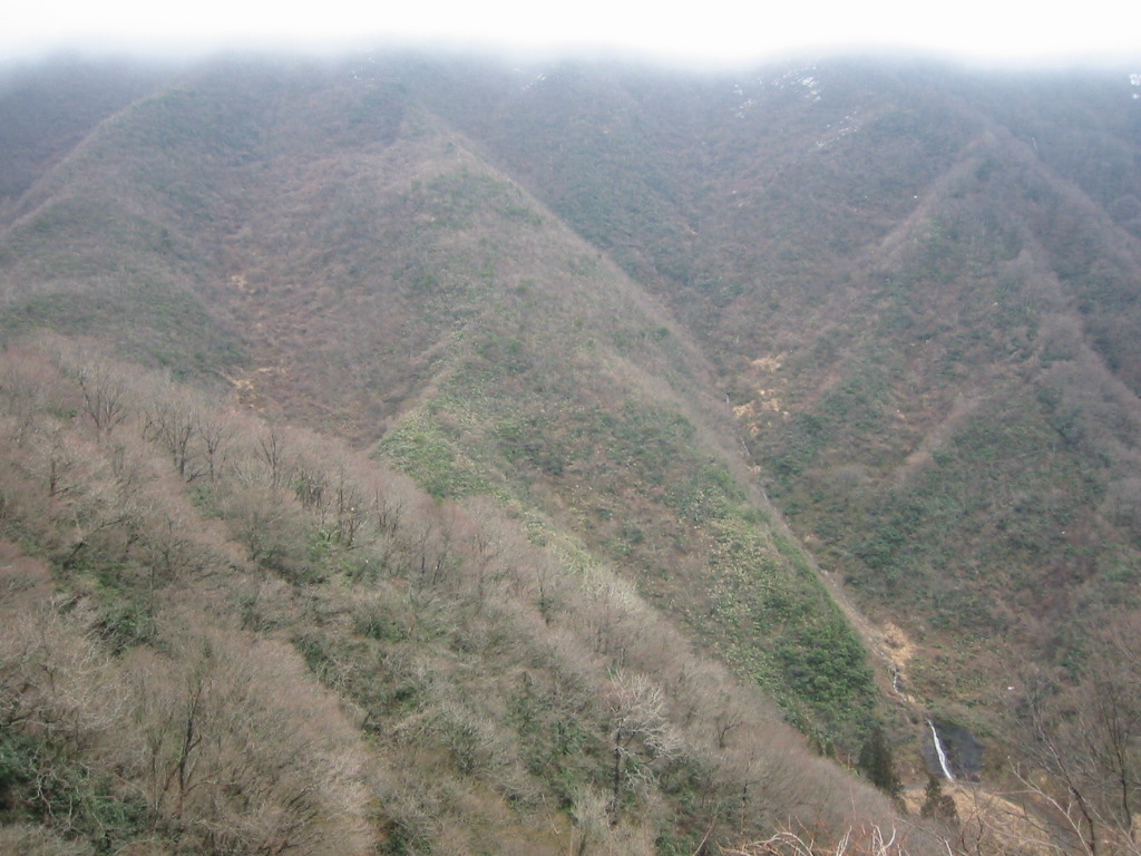 d0094868_13131074.jpg