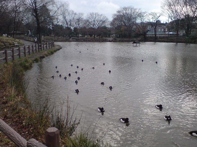 e0078069_22282065.jpg