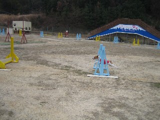 b0074782_0583379.jpg