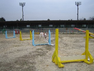 b0074782_10515.jpg