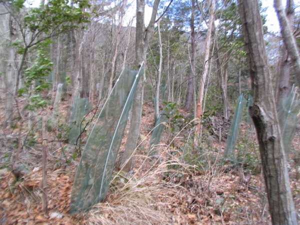 c0076982_2153681.jpg