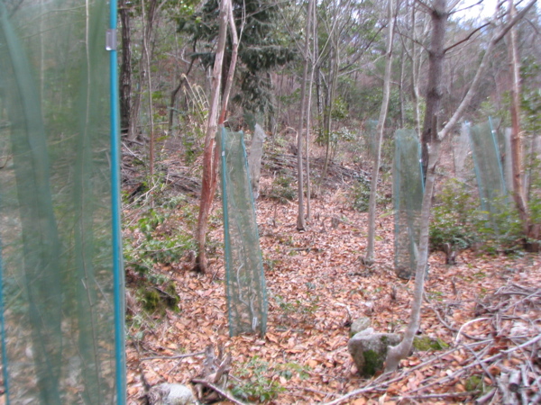 c0076982_2194949.jpg