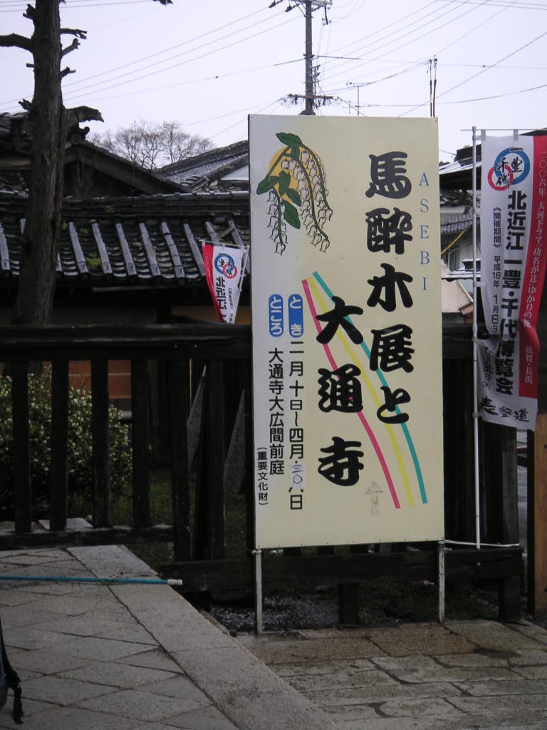 e0023183_2482951.jpg