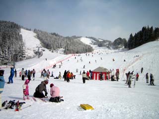 e0047185_13103655.jpg