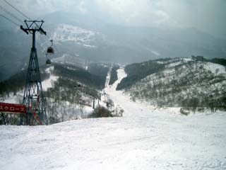 e0047185_13121035.jpg
