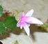 e0026586_20462449.jpg