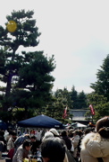 a0079292_1429248.jpg