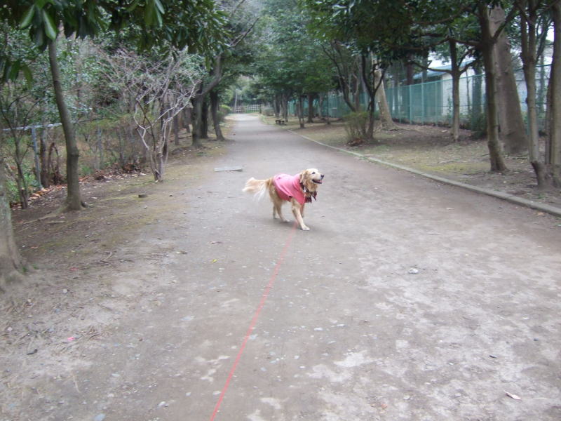 c0104492_136509.jpg