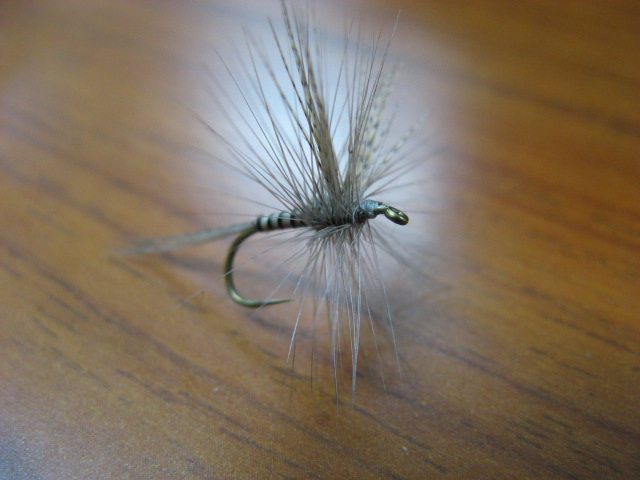 b0092694_2137220.jpg