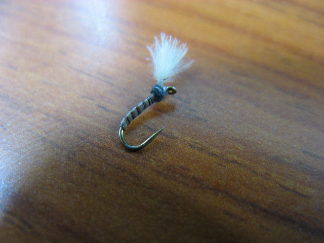 b0092694_2137236.jpg