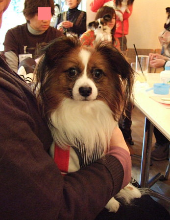 c0044199_22135596.jpg