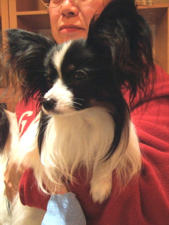c0044199_22203035.jpg