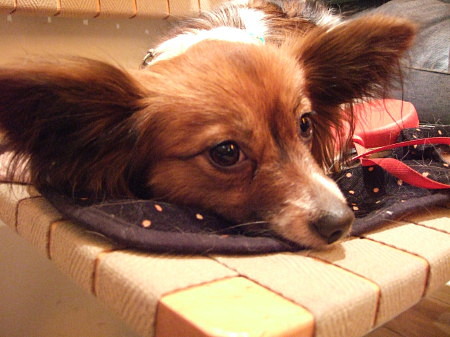 c0044199_22224843.jpg