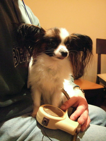c0044199_2223443.jpg