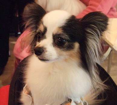 c0044199_2224871.jpg