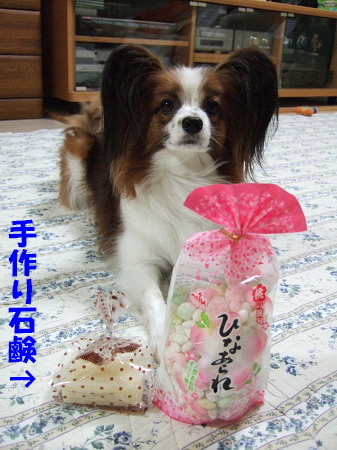 c0044199_22455220.jpg