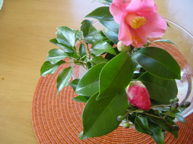 b0083902_224461.jpg