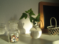 d0076603_10304668.jpg