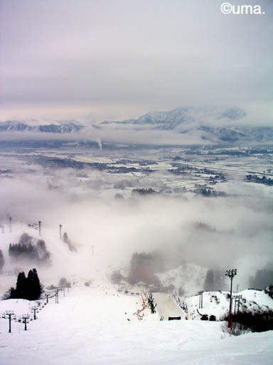 b0061004_2292744.jpg