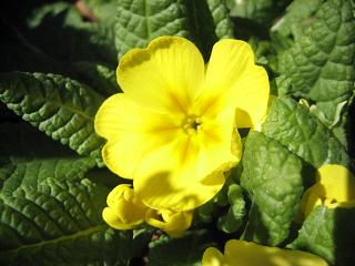 f0077807_213391.jpg