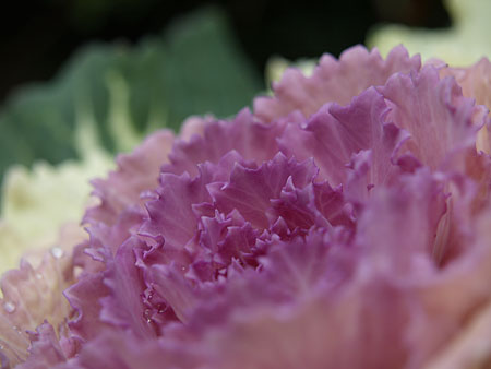 a0041508_22512258.jpg
