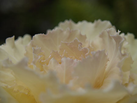 a0041508_2252077.jpg