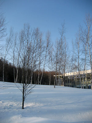 a0065611_19391059.jpg