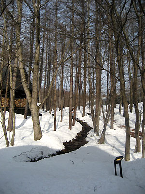 a0065611_1939208.jpg