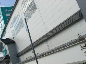 d0072318_11441885.jpg