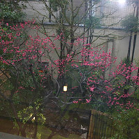 d0033734_11315440.jpg