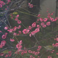 d0033734_11322830.jpg