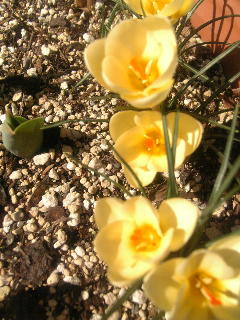 c0052035_12103699.jpg