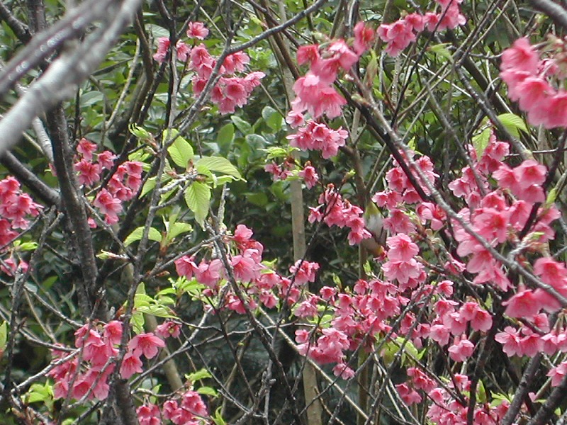 e0062635_20382211.jpg