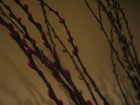 e0018143_1521664.jpg