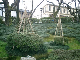 f0045956_22181149.jpg
