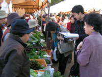 d0058958_8272839.jpg