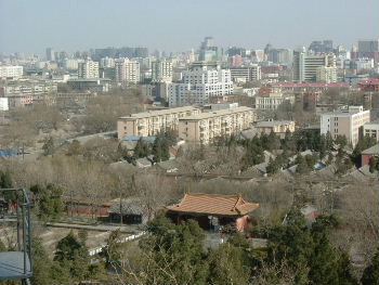 f0038665_21391870.jpg