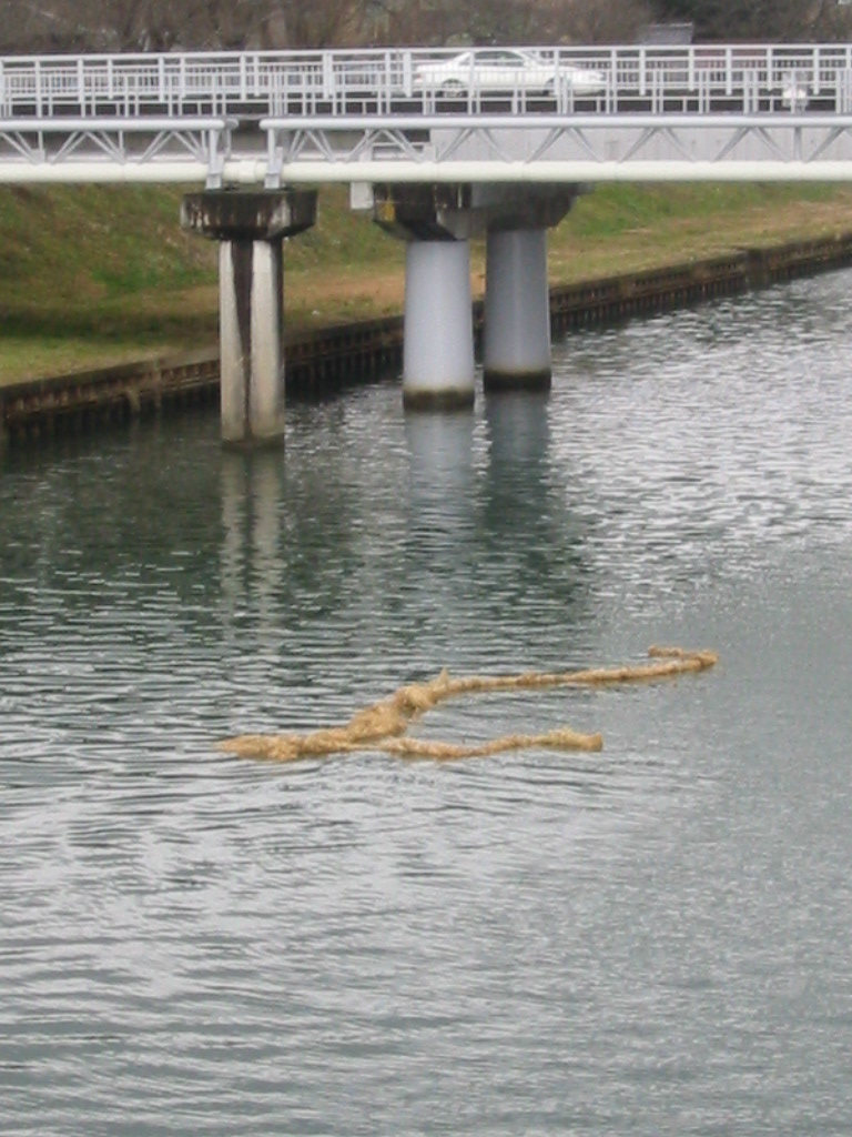 d0094868_15463672.jpg