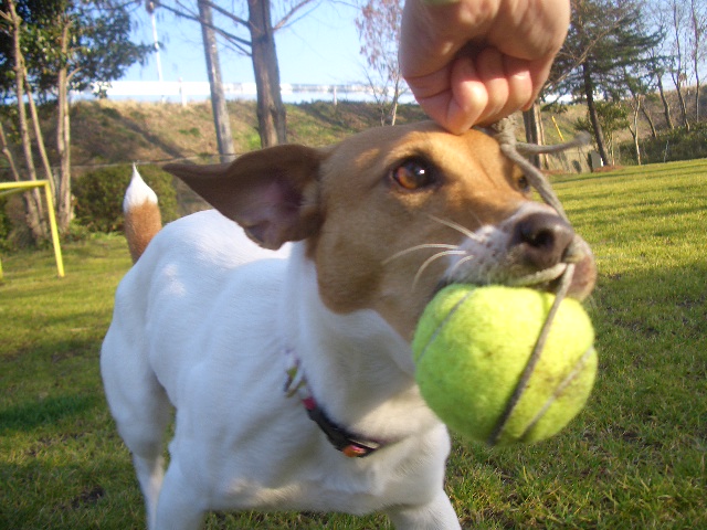 f0120770_20205764.jpg