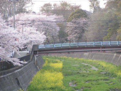 c0112172_06342.jpg