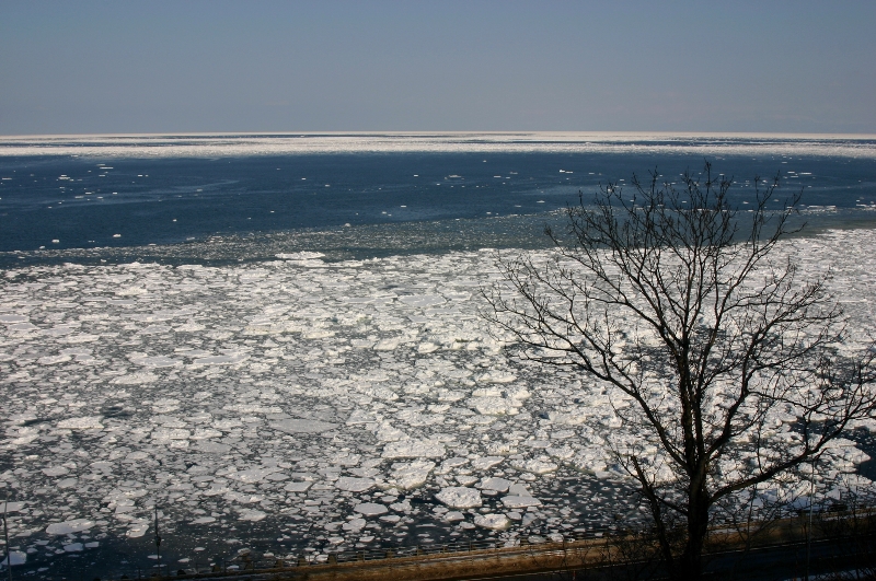 a0016775_22353332.jpg
