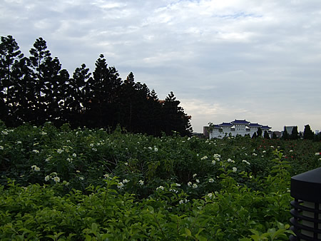 d0074578_072030.jpg