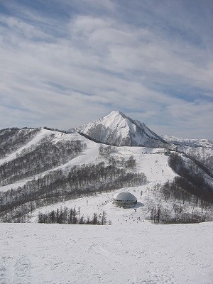 a0038882_10135450.jpg