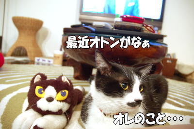 b0041182_2215841.jpg