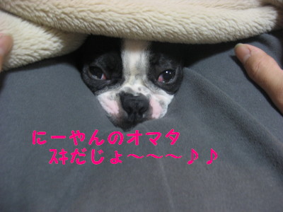 c0092787_11201231.jpg