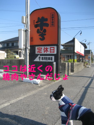 c0092787_113047.jpg