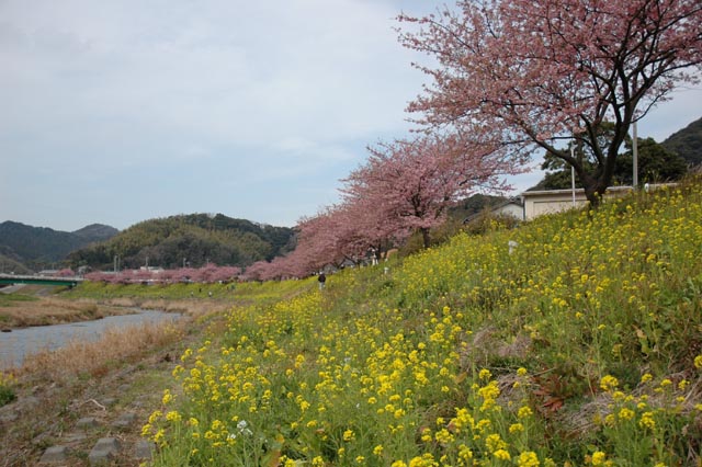 c0000391_23261751.jpg