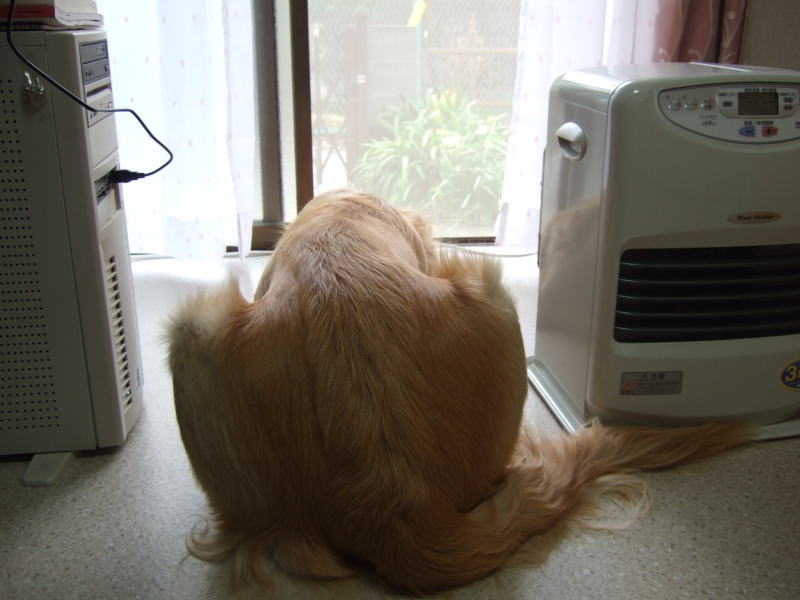 c0104492_0162930.jpg